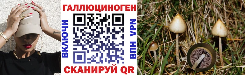 купить наркоту  Сухиничи  Псилоцибиновые грибы мухоморы 